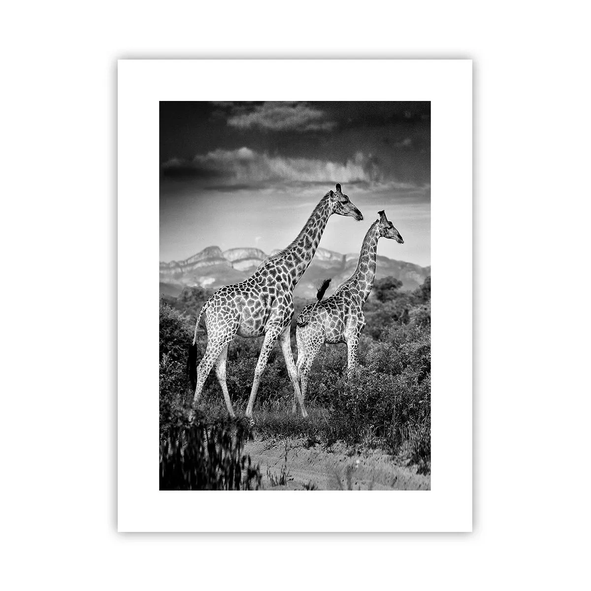 Poster - Hohe Sphären in Afrika - 30x40 cm