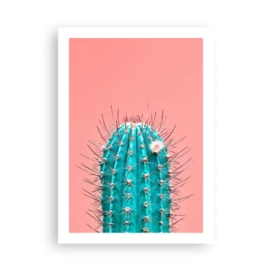 Poster - Türkisfarbener Kaktus auf rosa Hintergrund - 50x70cm - Schau einfach hin - Moderne Wanddekoration für Wohnzimmer und Schlafzimmer ARTTOR