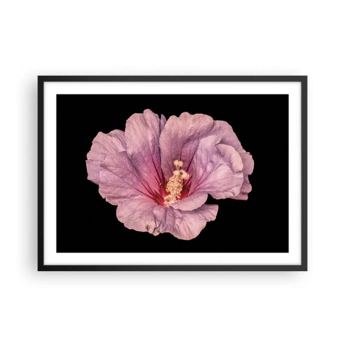 Poster in einem schwarzem Rahmen - Rosa Blume auf schwarzem Hintergrund - 70x50cm - Direkt ins Herz - Moderne Wanddekoration für Wohnzimmer und Schlafzimmer ARTTOR