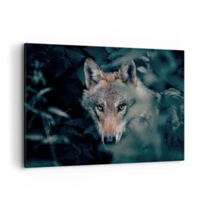 Bild auf Leinwand - Leinwandbild - Ein Wolf in seiner natürlichen Umgebung, der aus den Tiefen des Waldes hervorschaut. - 120x80cm - Jäger - Moderne Wanddekoration für Wohnzimmer und Schlafzimmer ARTTOR