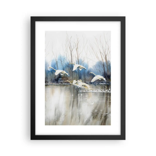 Poster in einem schwarzem Rahmen - Wie im Märchen von den wilden Schwänen - 30x40 cm