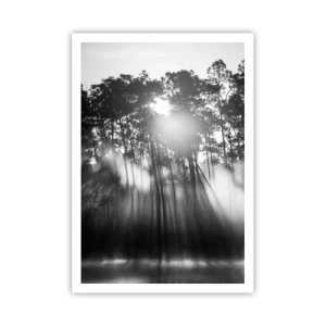 Poster - Unaufhaltsame Sonne - 70x100 cm