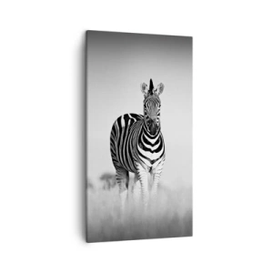 Bild auf Leinwand - Leinwandbild - Die Welt ist doch schwarz-weiß - 45x80 cm