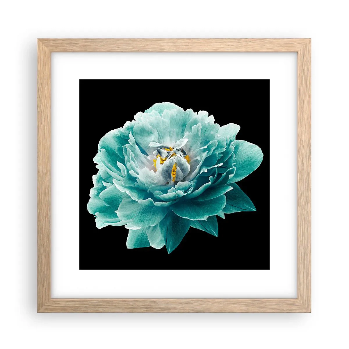 Poster in einem Rahmen aus heller Eiche - Blaue und goldene Blütenblätter - 30x30 cm
