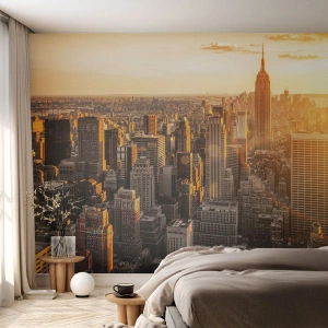 Fototapete Standard Eco - In der Sonne wachsen - Stadt, New York, Die Architektur - 200x140 cm
