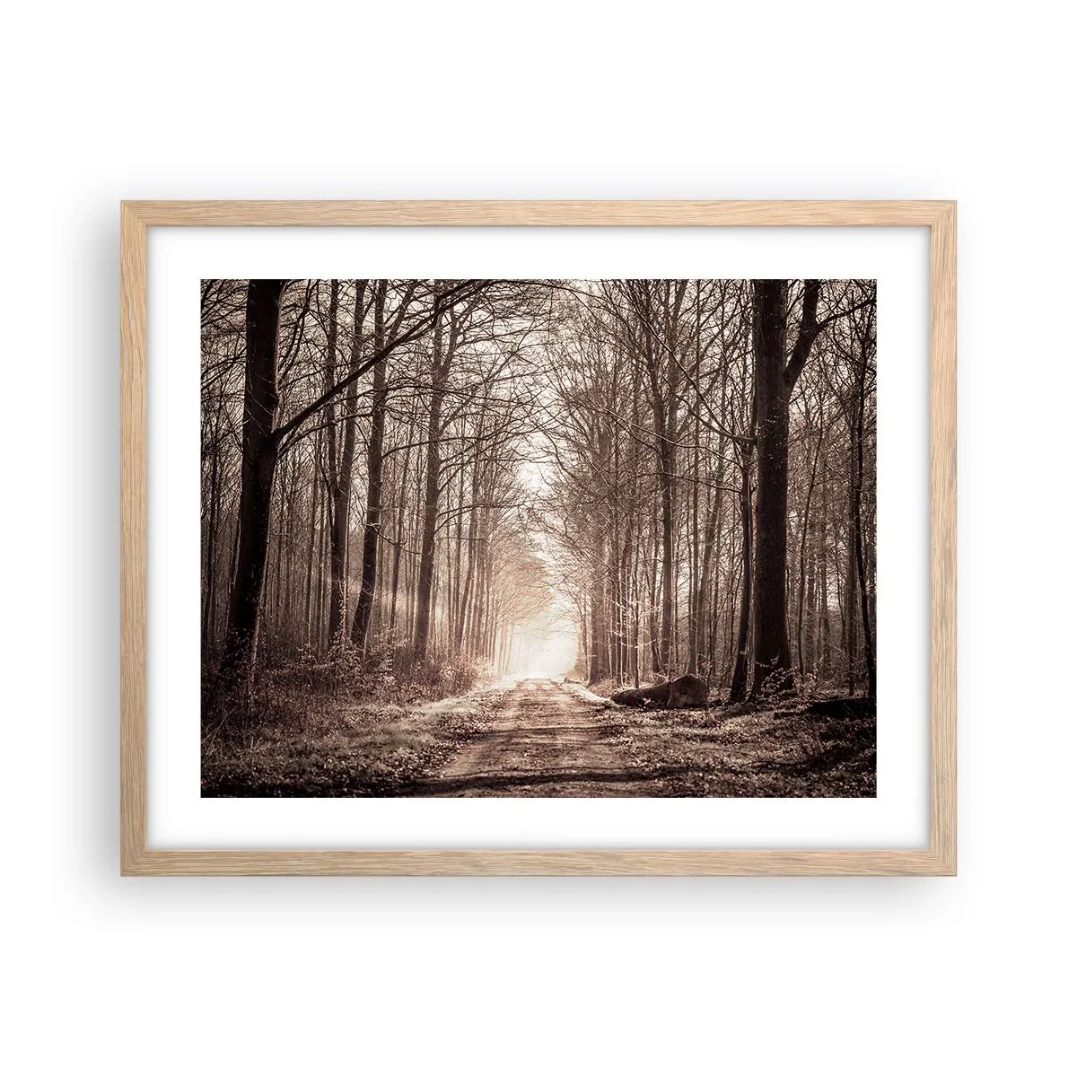 Poster in einem Rahmen aus heller Eiche - Waldkathedrale - 50x40 cm