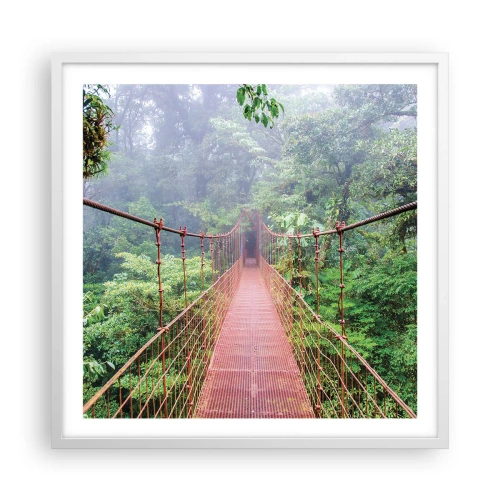 Poster in einem weißen Rahmen - Über den Kronen aufgehängt - 60x60 cm