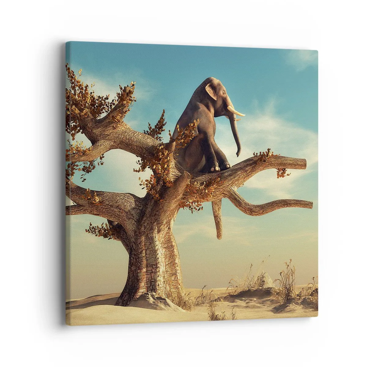 Bild auf Leinwand - Leinwandbild - Ein neuer Standpunkt - 40x40 cm