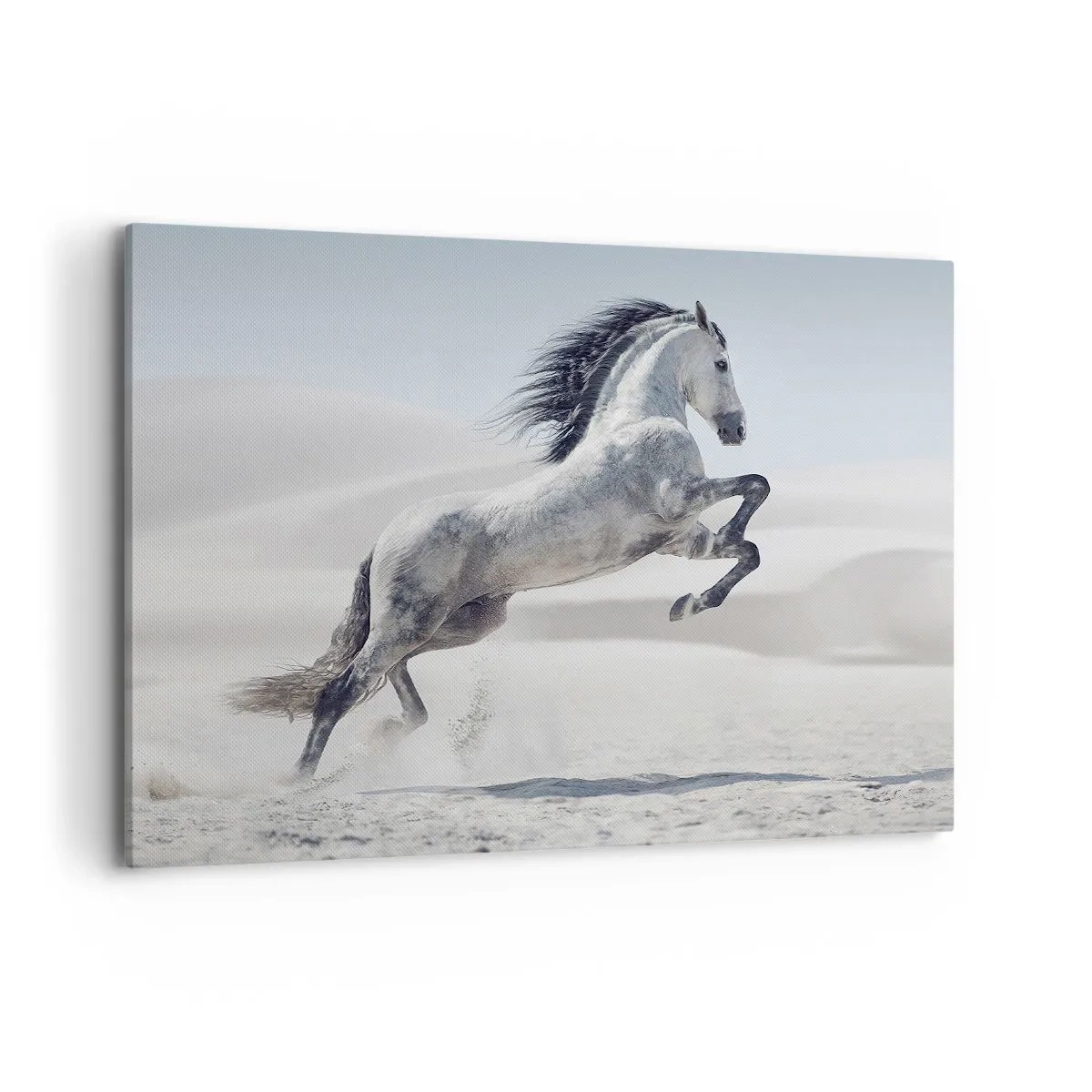 Bild auf Leinwand - Leinwandbild - Ein weißes Pferd galoppiert vor der Kulisse der Wüstendünen - 100x70cm - Arabischer Prinz - Moderne Wanddekoration für Wohnzimmer und Schlafzimmer ARTTOR