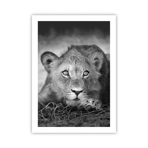 Poster - Ein junger Löwe in monochromen Tönen - 50x70cm - Königlicher Welpe - Moderne Wanddekoration für Wohnzimmer und Schlafzimmer ARTTOR