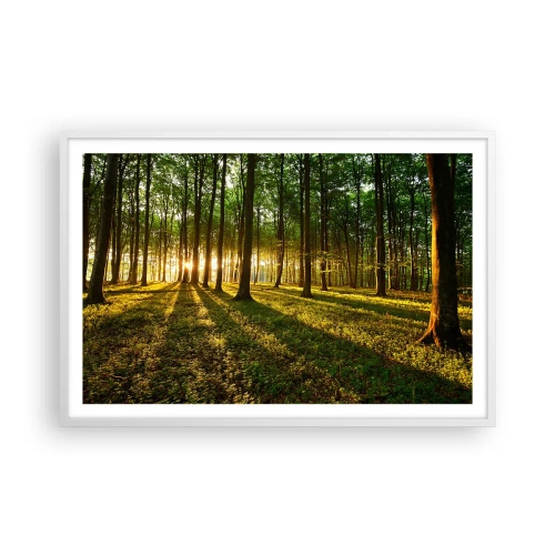 Poster in einem weißen Rahmen - Alle Frühlingsfotografie - 91x61 cm