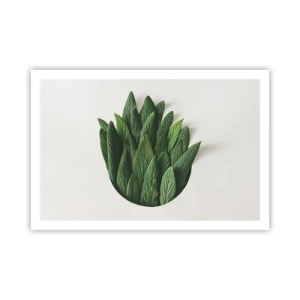 Poster - Ungebremste Neugier - 91x61 cm