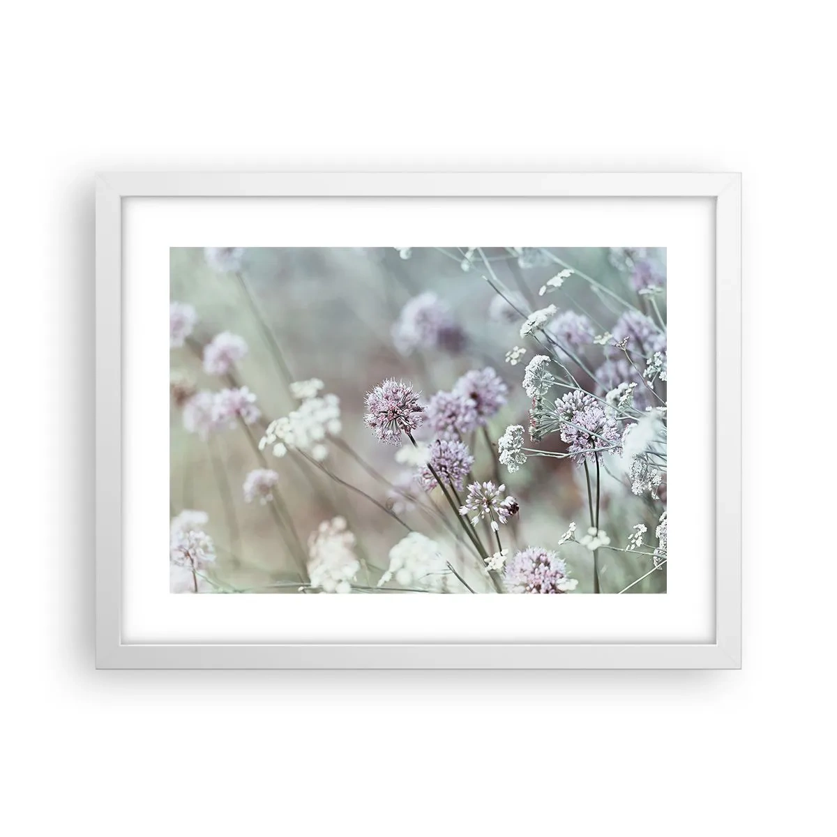 Poster in einem weißen Rahmen - Süße filigrane Kräuter - 40x30 cm