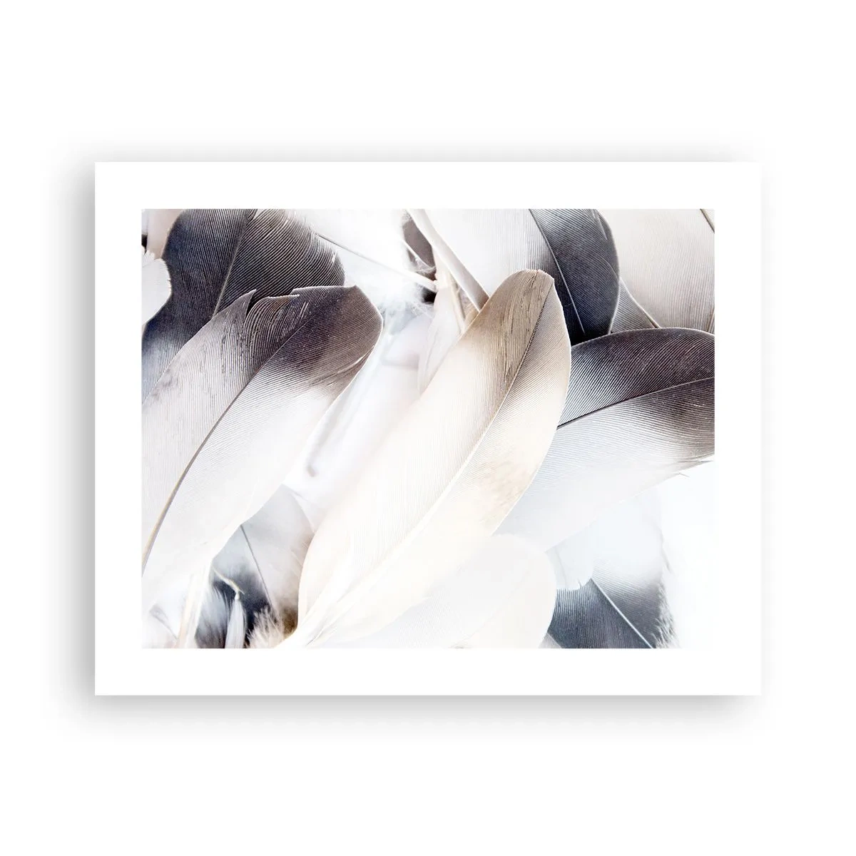 Poster - Fast engelhaft - 50x40 cm