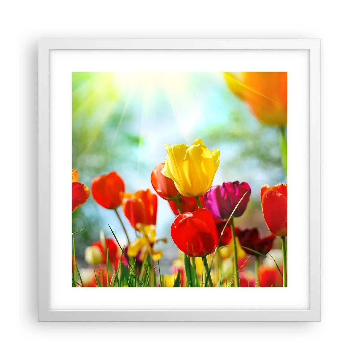 Poster in einem weißen Rahmen - Alle Farben der Sonne - 40x40 cm