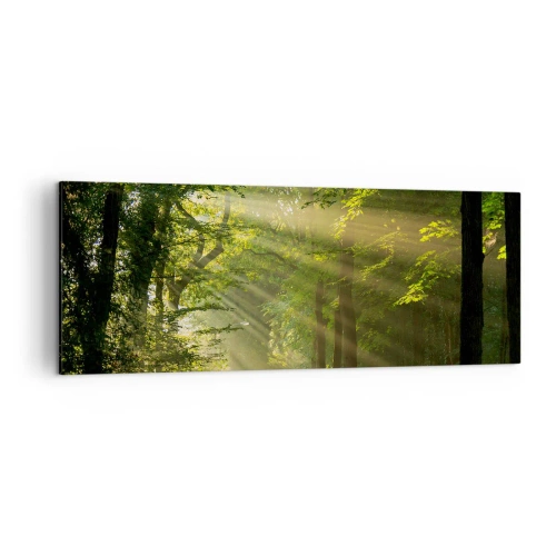 Bild auf Leinwand - Leinwandbild - Waldweg mit Sonnenstrahlen, die durch die Bäume scheinen - 140x50cm - Waldmoment - Moderne Wanddekoration für Wohnzimmer und Schlafzimmer ARTTOR
