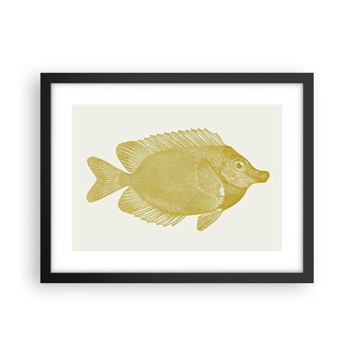 Poster in einem schwarzem Rahmen - Fisch und das war’s - 40x30 cm
