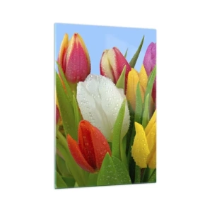 Glasbild - Bild auf glas - Bunte Tulpen mit Tautropfen auf blauem Hintergrund bedeckt - 70x100cm - Ein blumiger Regenbogen in Tautropfen - Moderne Wanddekoration für Wohnzimmer und Schlafzimmer ARTTOR