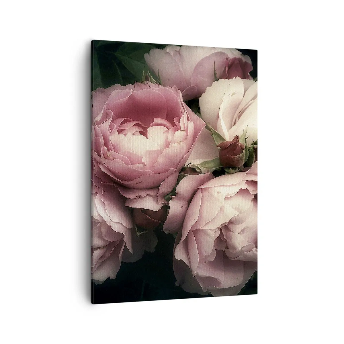 Bild auf Leinwand - Leinwandbild - Ein Strauß Rosen in zarten Rosa- und Weißtönen - 50x70cm - Der Charme der Belle Epoque - Moderne Wanddekoration für Wohnzimmer und Schlafzimmer ARTTOR