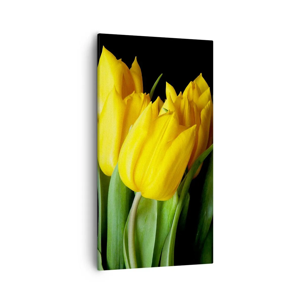 Bild auf Leinwand - Leinwandbild - Aus klarer Sonne entstanden - 55x100 cm