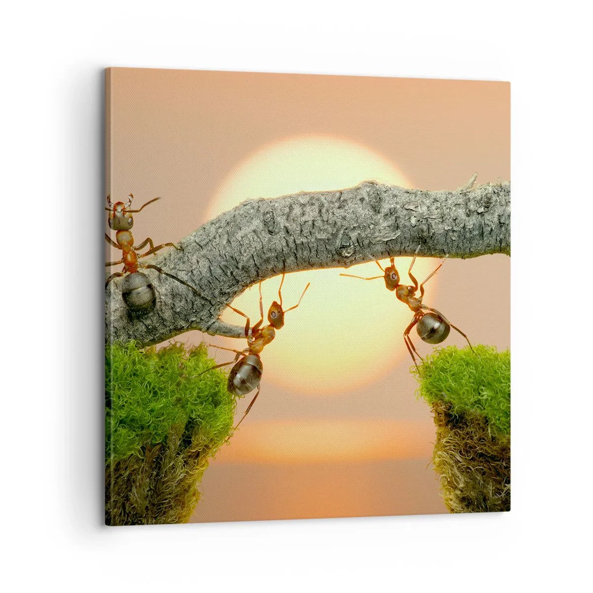 Bild auf Leinwand - Leinwandbild - Glücklich, zusammen arbeiten - 60x60 cm