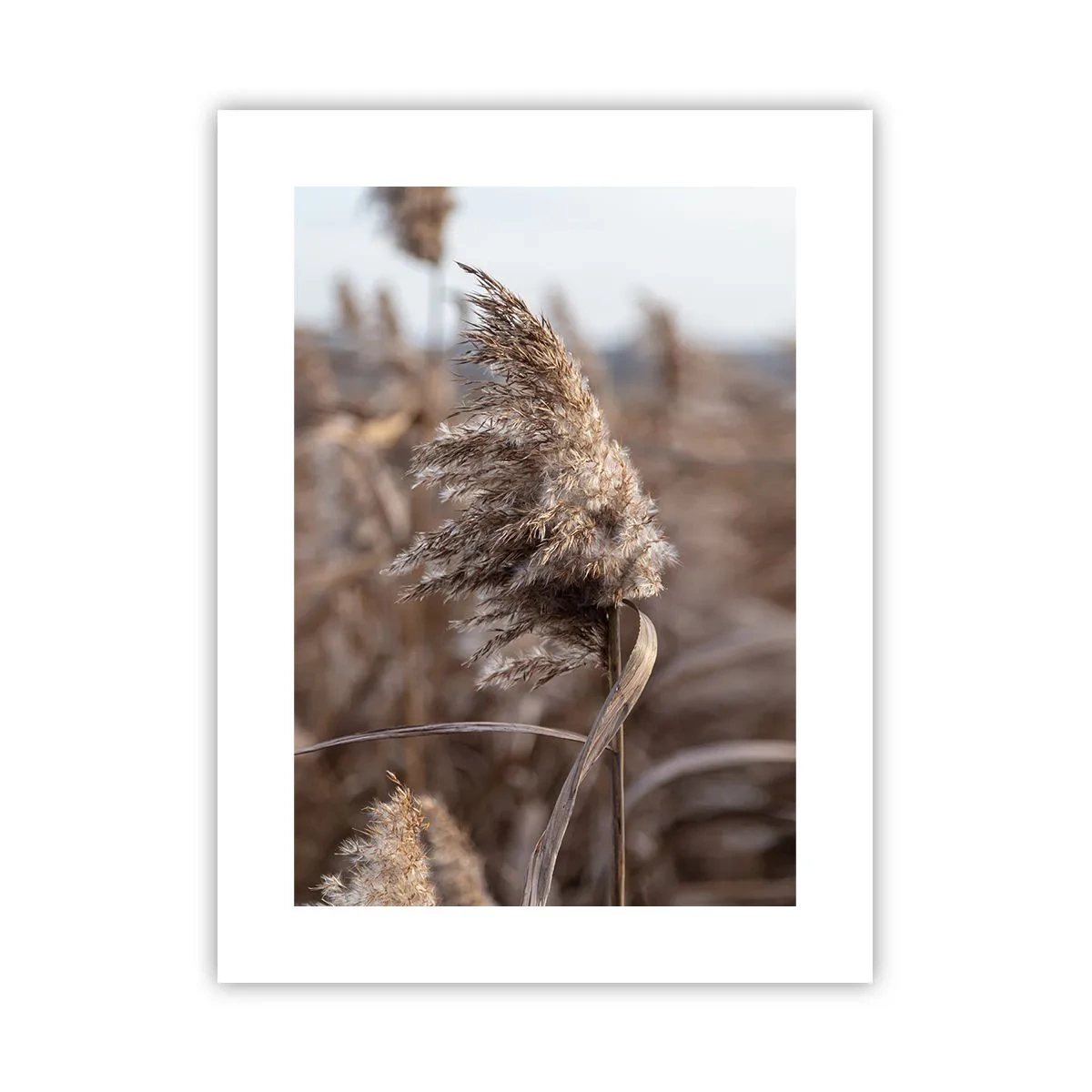 Poster - Zeit, mit dem Wind zu gehen - 30x40 cm