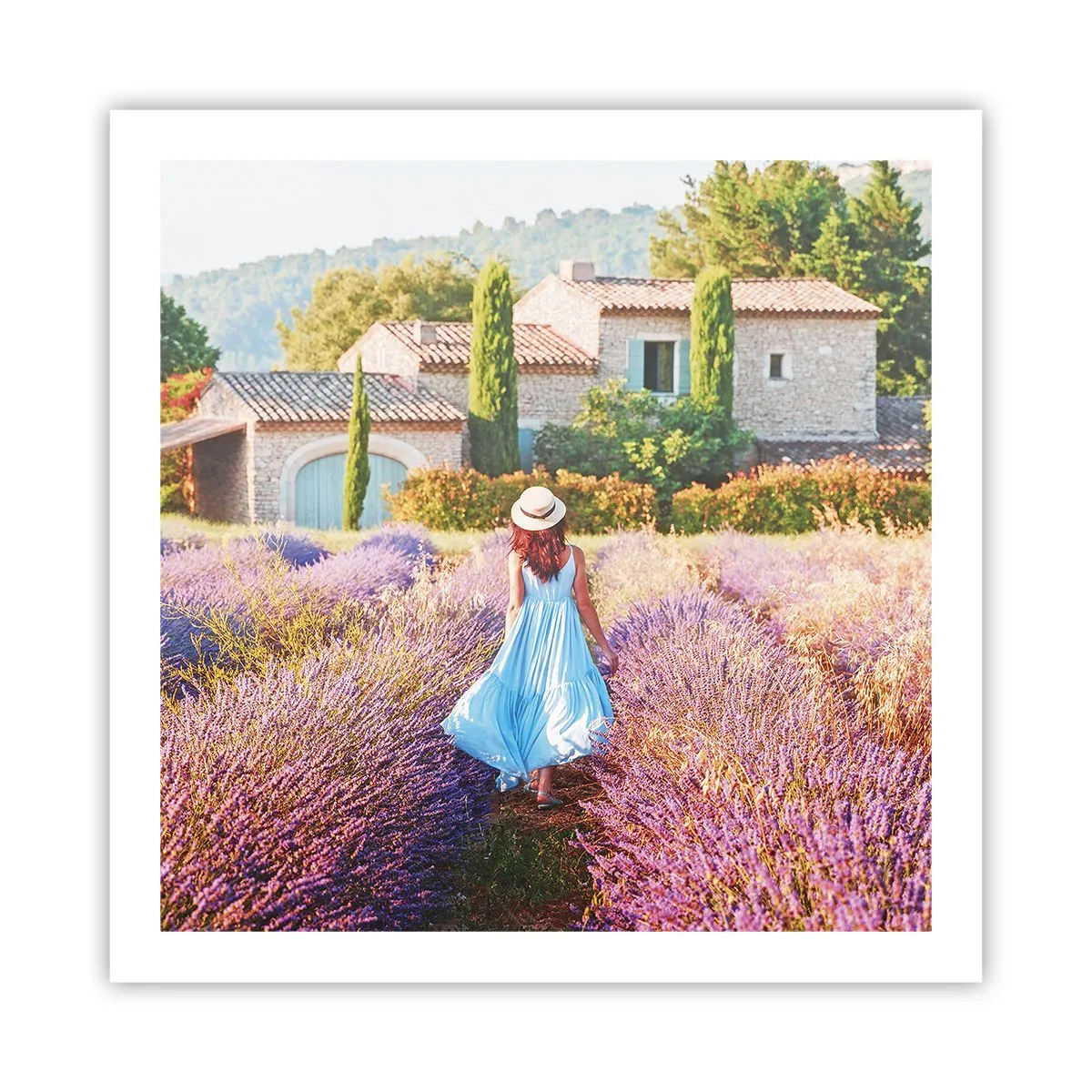 Poster - Lavendel Mädchen - 60x60 cm