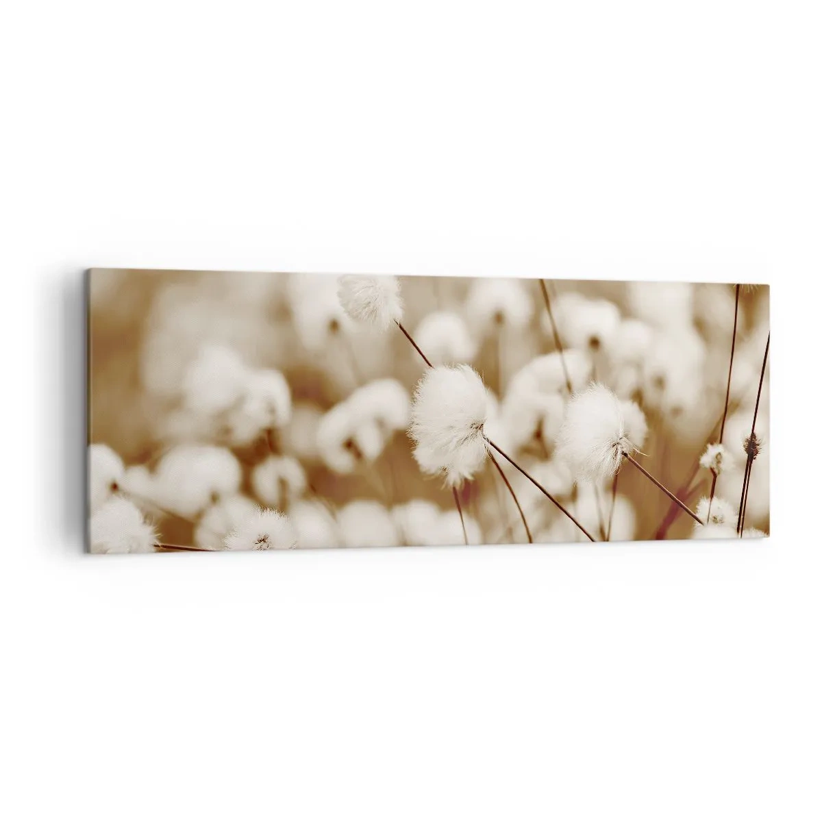 Bild auf Leinwand - Leinwandbild - Ein Feld mit zarten Pflanzen in Sepiatönen - 140x50cm - Flauschiges Kornfeld - Moderne Wanddekoration für Wohnzimmer und Schlafzimmer ARTTOR