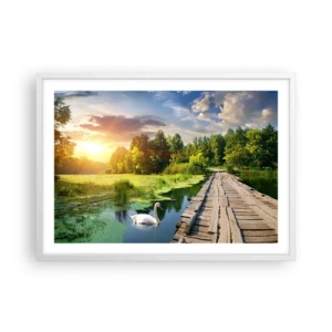Poster in einem weißen Rahmen - Sommer, Sommer überall - 70x50 cm