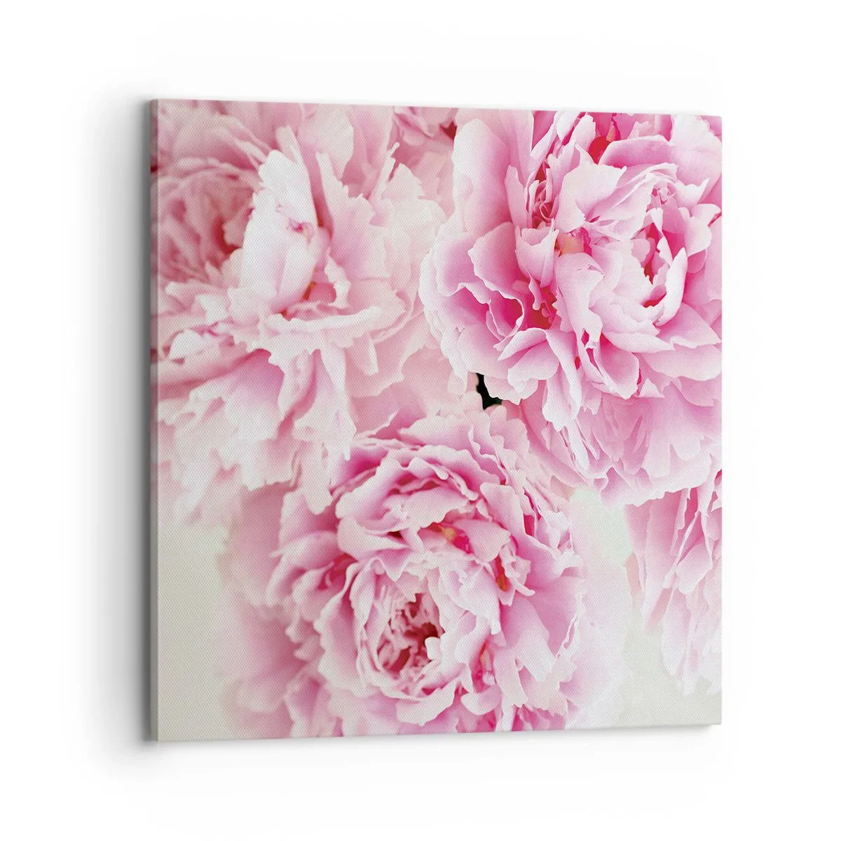 Bild auf Leinwand - Leinwandbild - In rosa Glamour - 70x70 cm