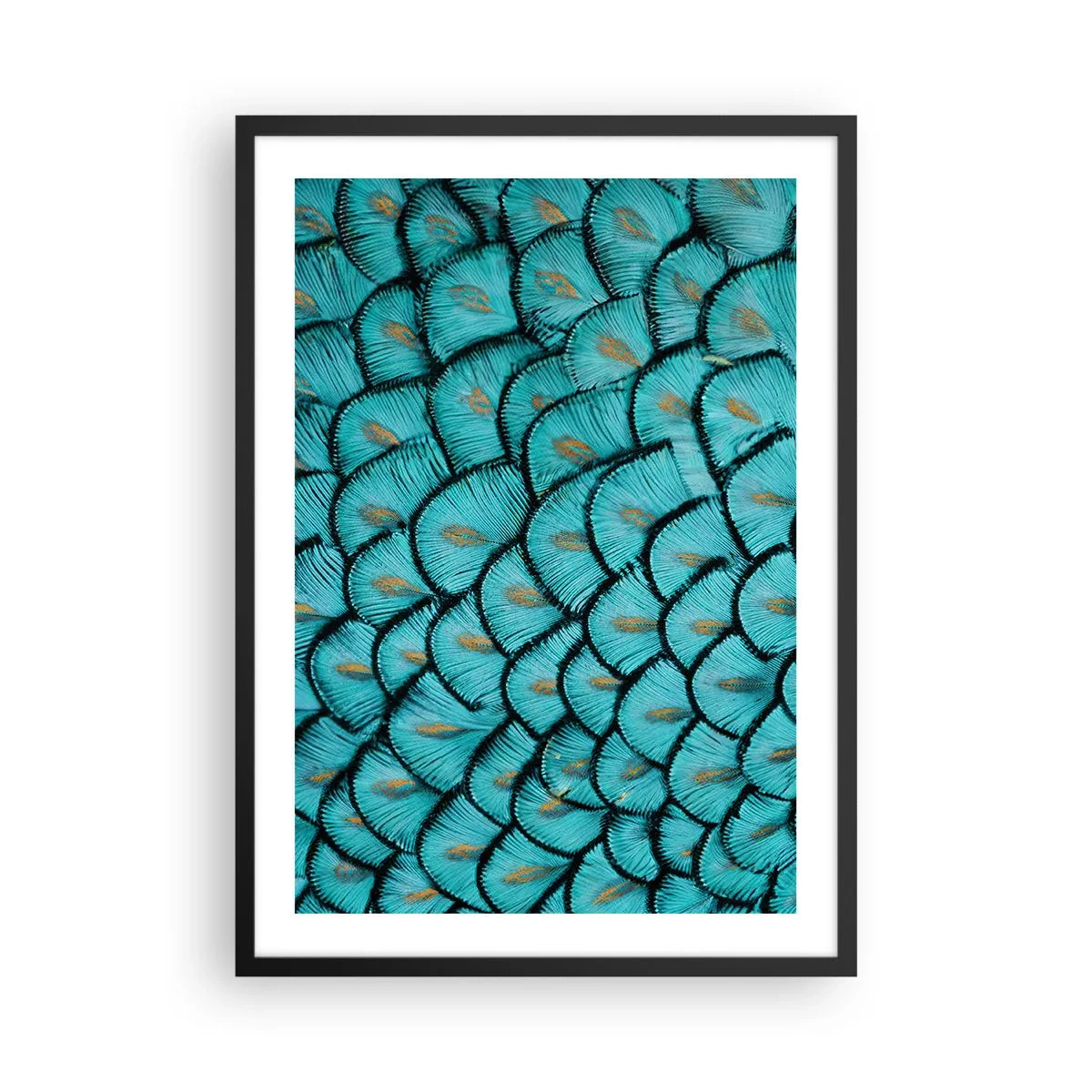 Poster in einem schwarzem Rahmen - Makrofotografie von türkisfarbenen Federn mit einzigartigem Muster - 50x70cm - Große Federgala - Moderne Wanddekoration für Wohnzimmer und Schlafzimmer ARTTOR
