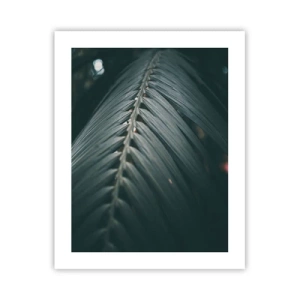 Poster - Die Präzision der Natur - 40x50 cm