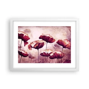 Poster in einem weißen Rahmen - Rotes und weißes Blütenblatt - 40x30 cm