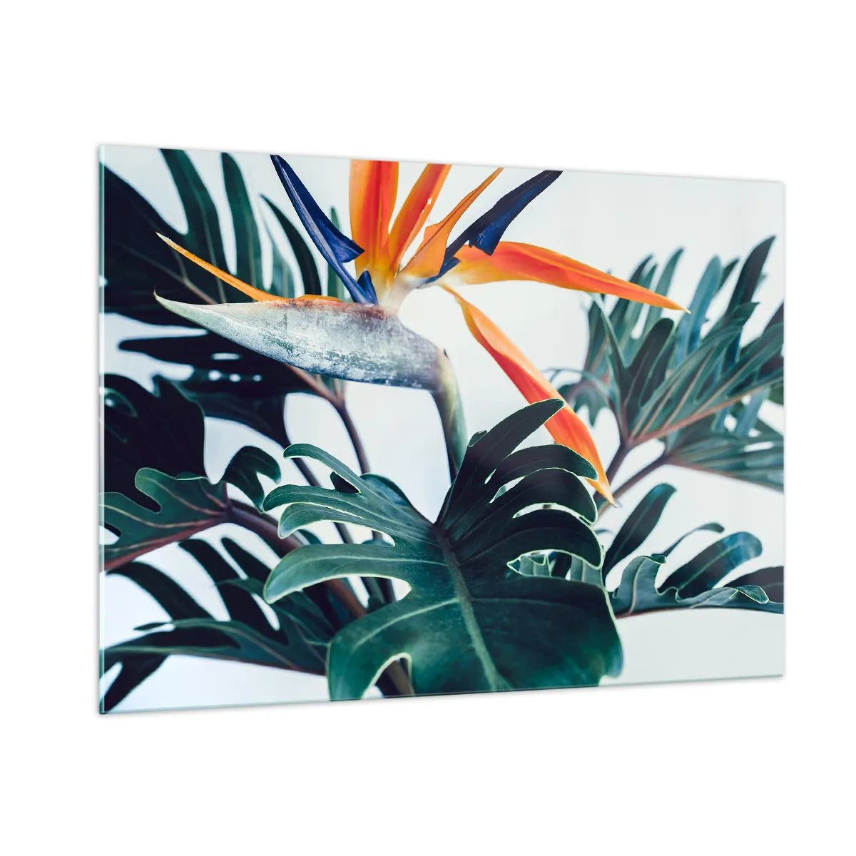 Glasbild - Bild auf glas - Exotische Pflanze mit Paradiesvogelblume - 100x70cm - Vogelbusch - Moderne Wanddekoration für Wohnzimmer und Schlafzimmer ARTTOR