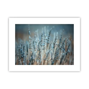 Poster - Duftendes Kornfeld - 40x30 cm