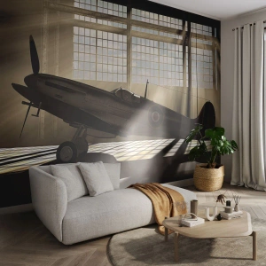 Maßgeschneiderte Fototapete Premium Sand - Die Ruhe eines Kriegers - Flugzeug, Luftfahrthangar, Flugzeug