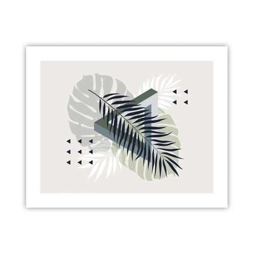 Poster - Natur und Geometrie – zwei Ordnungen? - 50x40 cm