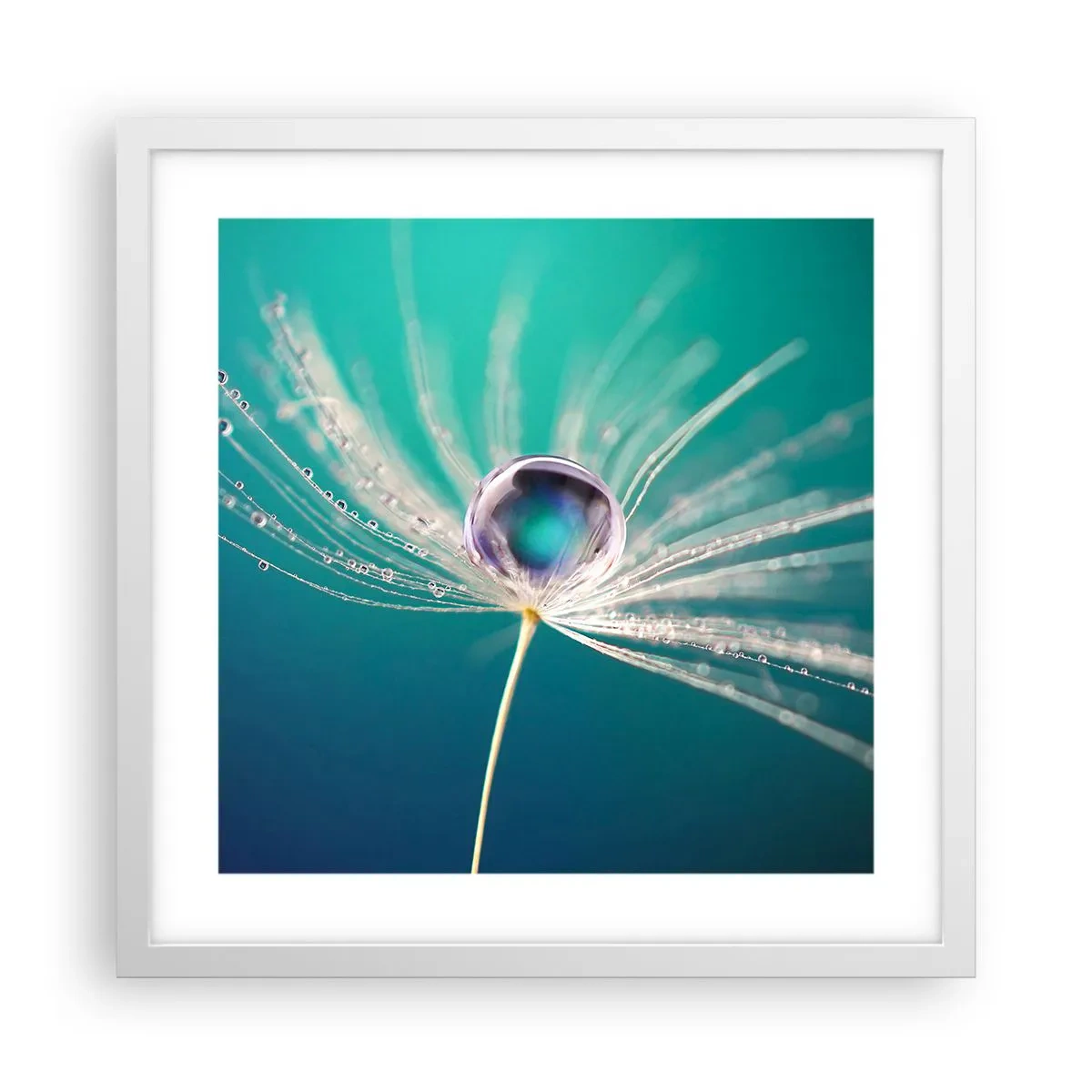 Poster in einem weißen Rahmen - Mystischer Moment - 40x40 cm