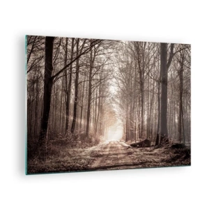 Glasbild - Bild auf glas - Waldweg im Morgennebel - 70x50cm - Waldkathedrale - Moderne Wanddekoration für Wohnzimmer und Schlafzimmer ARTTOR