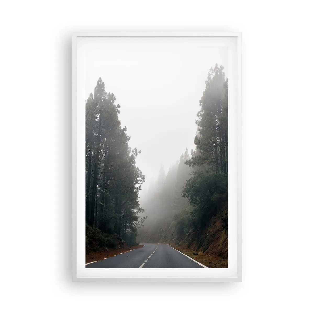 Poster in einem weißen Rahmen - Eine Geschichte von einem magischen Wald - 61x91 cm
