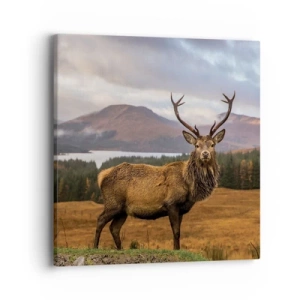 Bild auf Leinwand - Leinwandbild - Die Majestät der Natur - 40x40 cm
