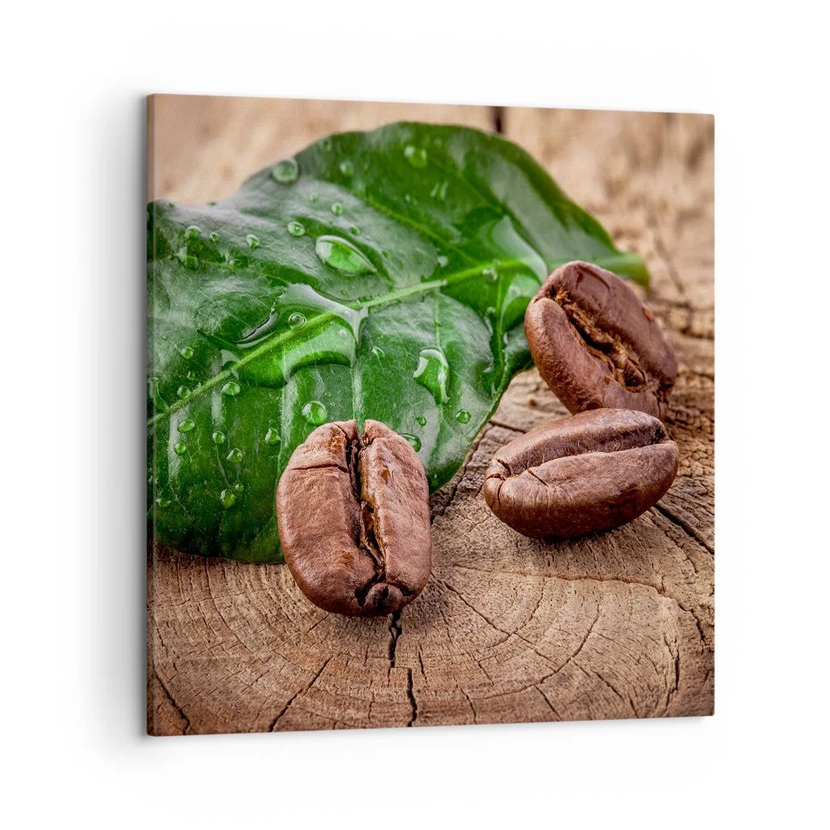 Bild auf Leinwand - Leinwandbild - Der wahrste und schwarze - 50x50 cm