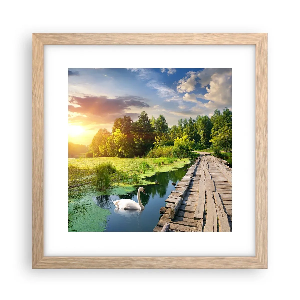 Poster in einem Rahmen aus heller Eiche - Sommer, Sommer überall - 30x30 cm
