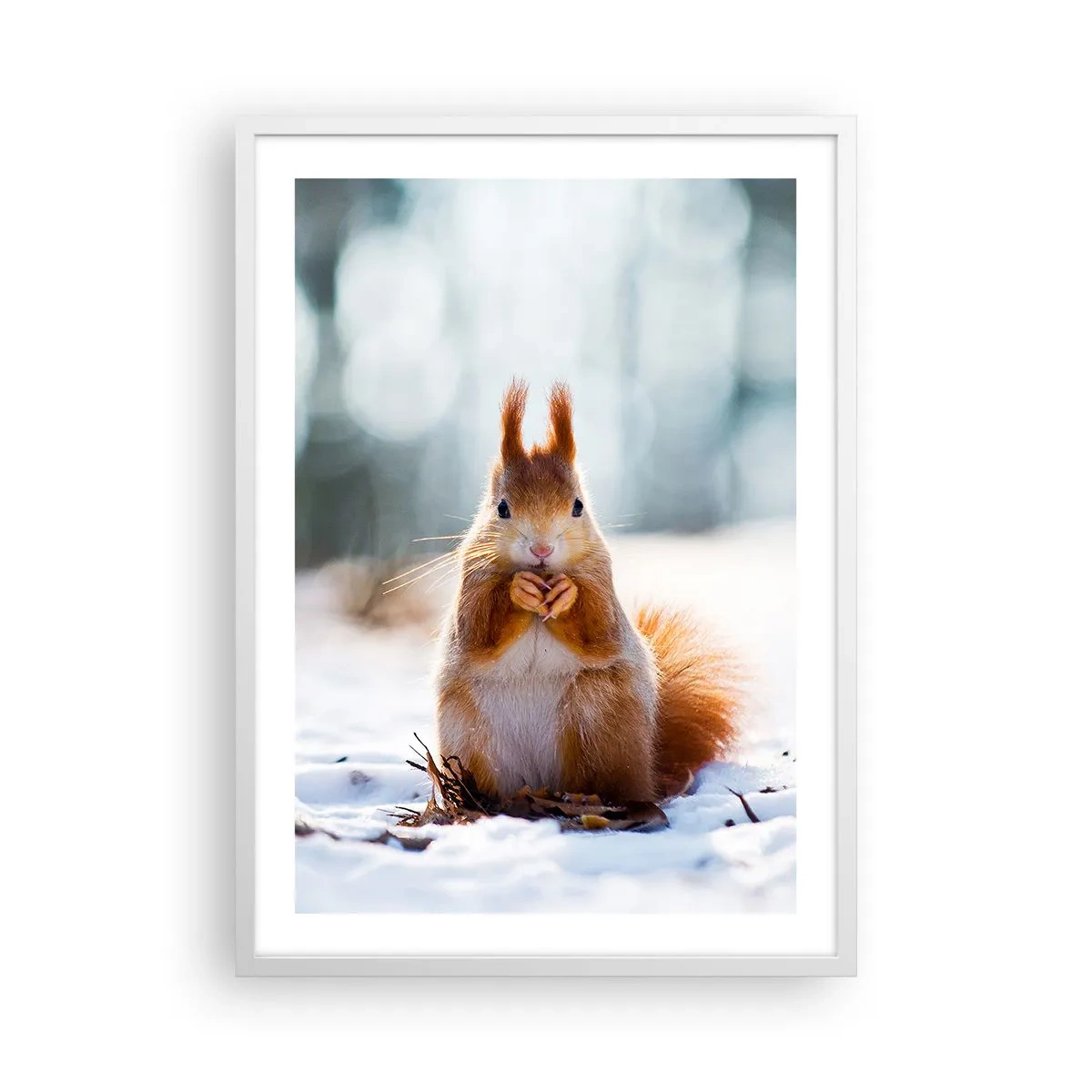 Poster in einem weißen Rahmen - Wo schaust du hin? - 50x70 cm