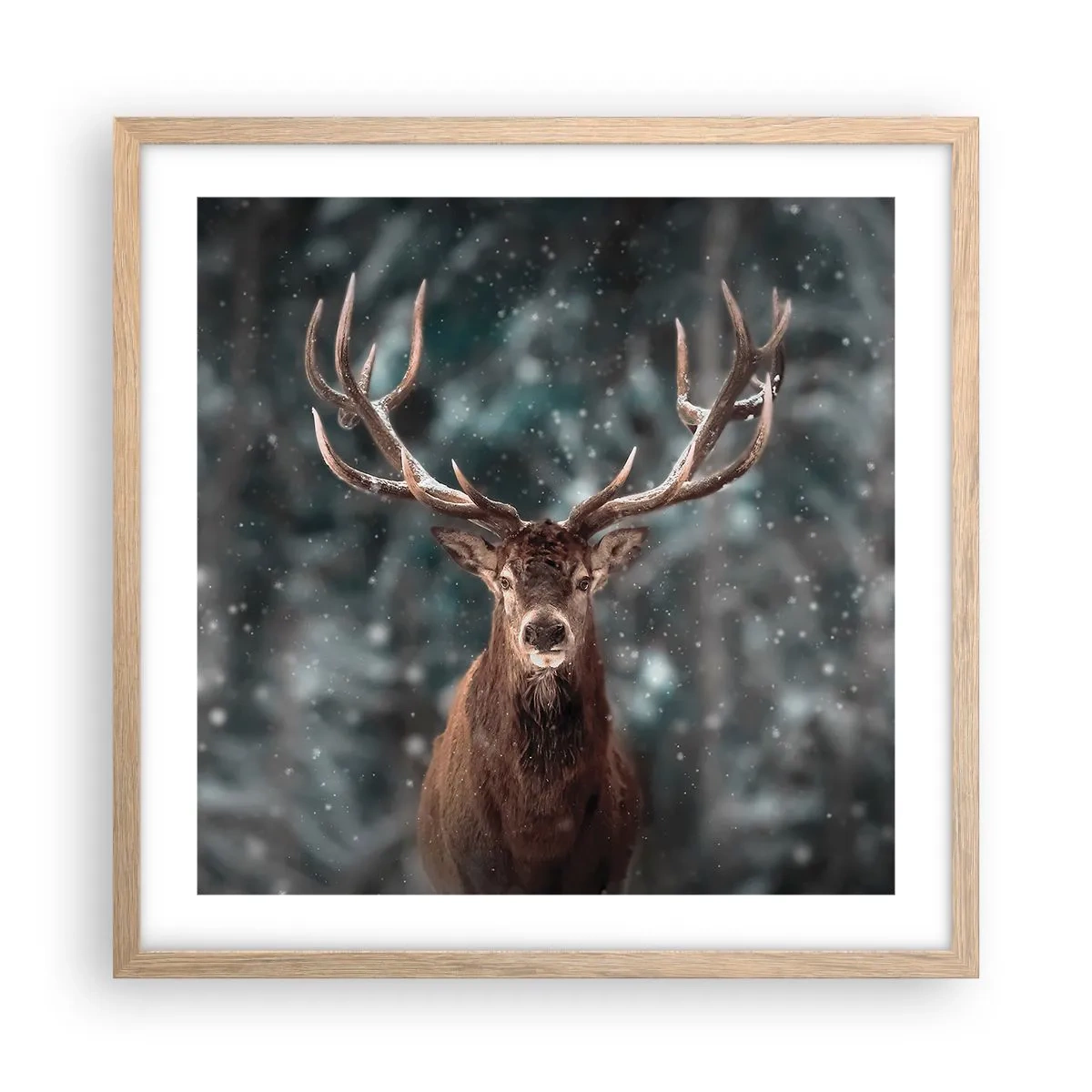 Poster in einem Rahmen aus heller Eiche - Gekrönter König des Waldes - 50x50 cm