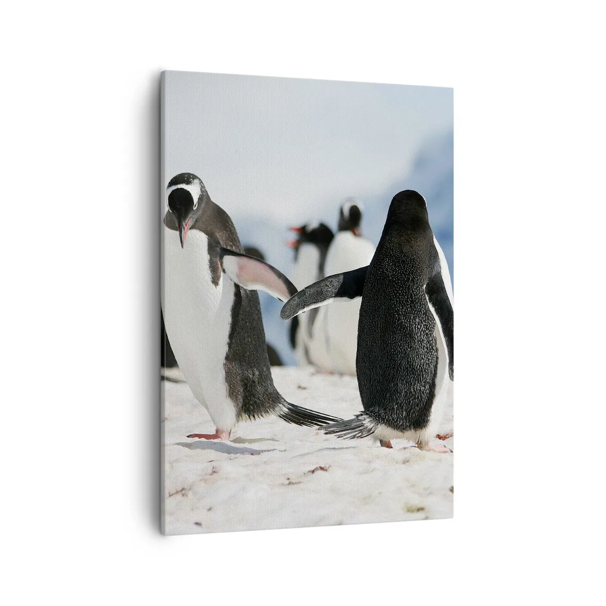 Bild auf Leinwand - Leinwandbild - Eine Gruppe Pinguine im Schnee in einer antarktischen Landschaft - 50x70cm - Tanzen im Schnee - Moderne Wanddekoration für Wohnzimmer und Schlafzimmer ARTTOR