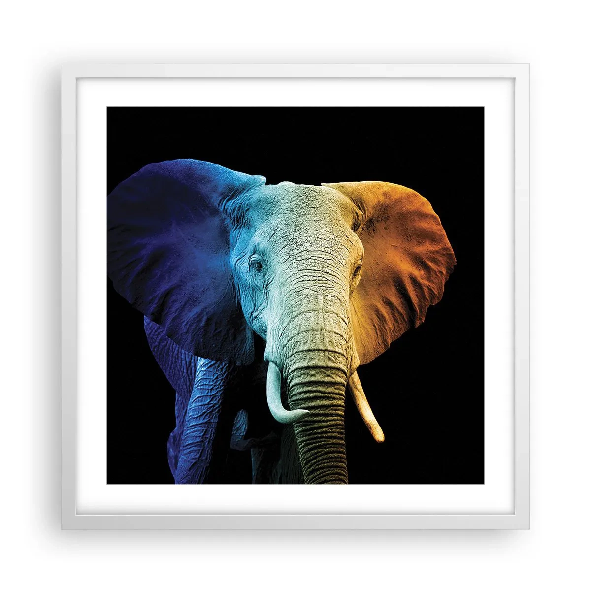 Poster in einem weißen Rahmen - Exzentrisch, kein Verrückter - 50x50 cm