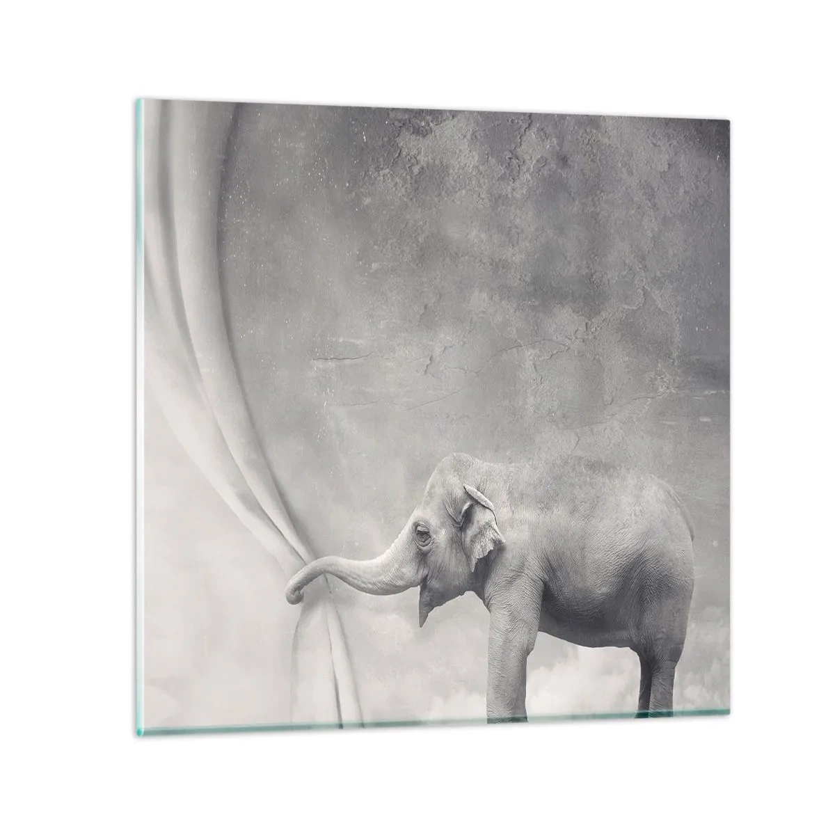 Glasbild - Bild auf glas - Enthülle das Geheimnis - 50x50 cm