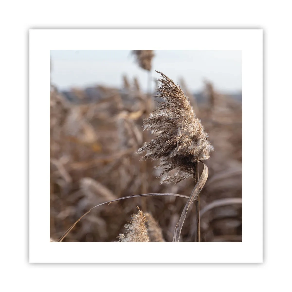 Poster - Zeit, mit dem Wind zu gehen - 40x40 cm