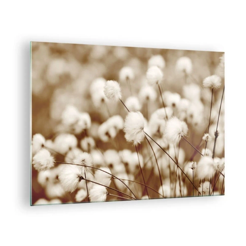 Glasbild - Bild auf glas - Ein Feld mit flauschigem Gras in Sepiatönen - 70x50cm - Flauschiges Kornfeld - Moderne Wanddekoration für Wohnzimmer und Schlafzimmer ARTTOR